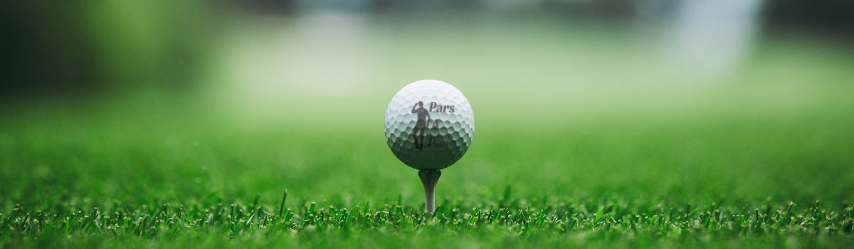 This is a stock image of a golf ball on a tee on a green, with a narrow depth of field that shows blur around the edges.